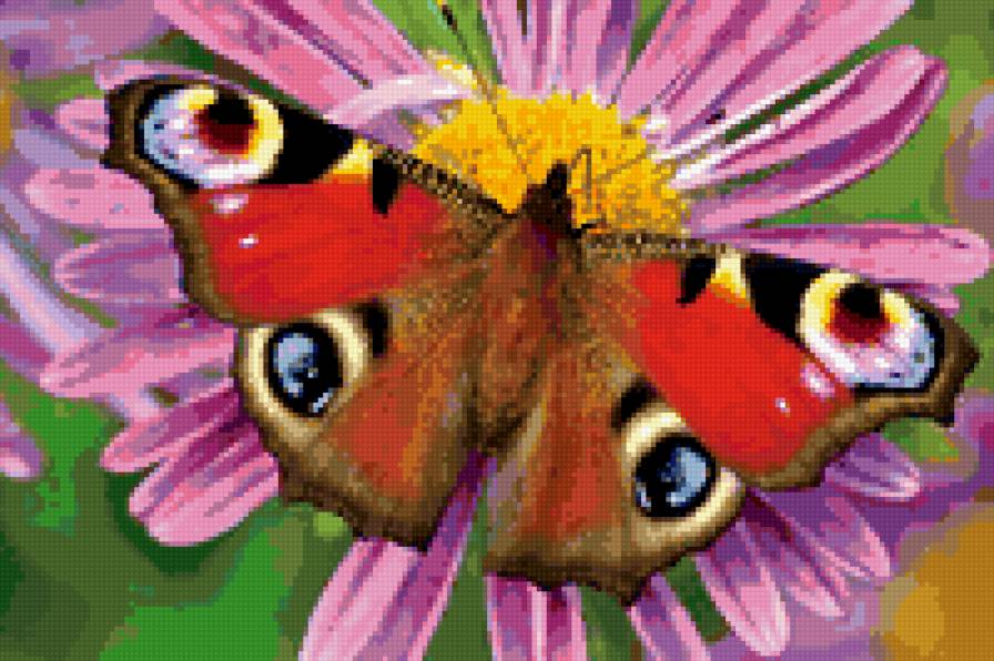 махагон - бабочка, природа - предпросмотр