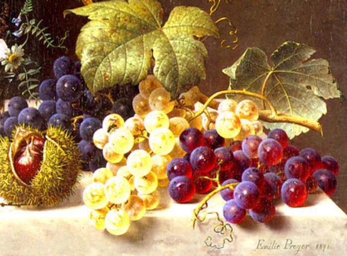 Спелый виноград - солнце, виноград, натюрморт, лето - оригинал