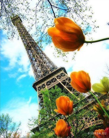 Париж - эйфелева башня, весна, париж - оригинал