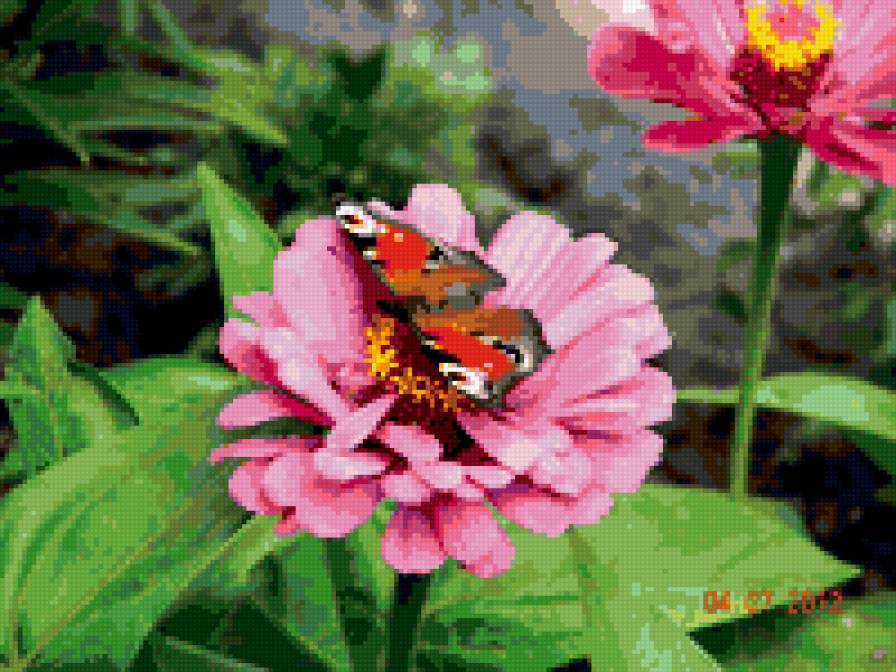 цветок и бабочка - природа - предпросмотр