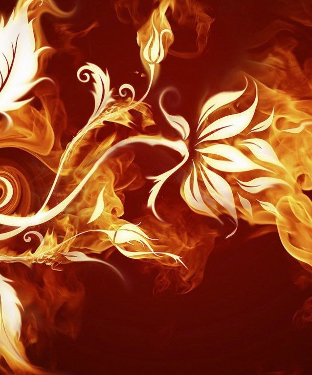 Огненный цветок - цветы, огонь - оригинал