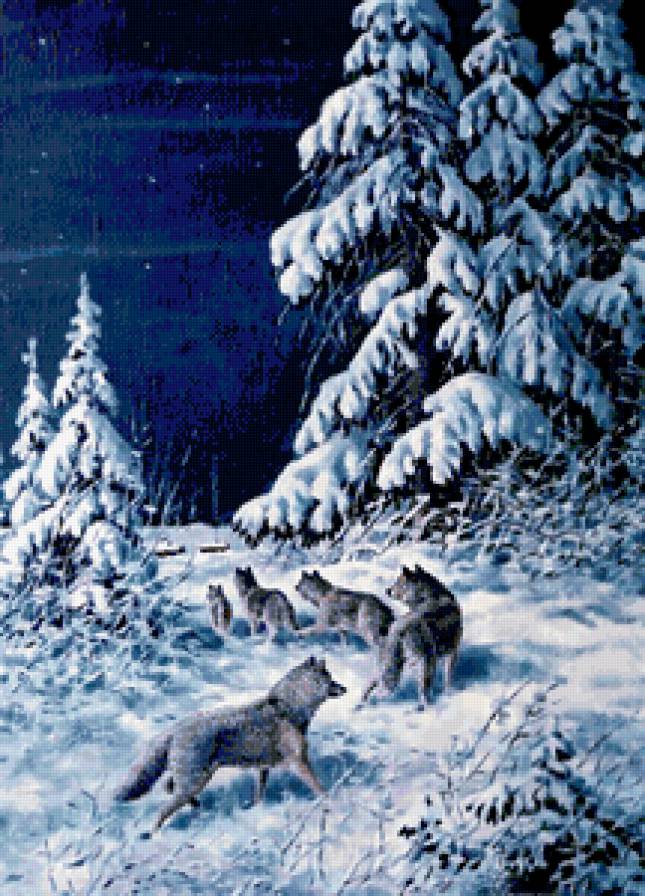 Серия "Пейзажи" - зима, снег, волки, животные, пейзаж - предпросмотр