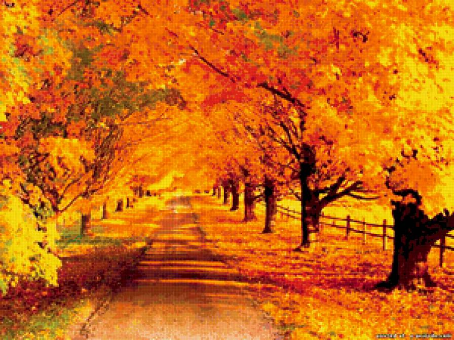 Осенняя дорога - пейзаж, осень, дорога, лес - предпросмотр