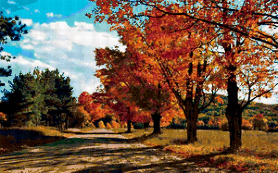 Золотая осень - пейзаж, дорога, осень - предпросмотр