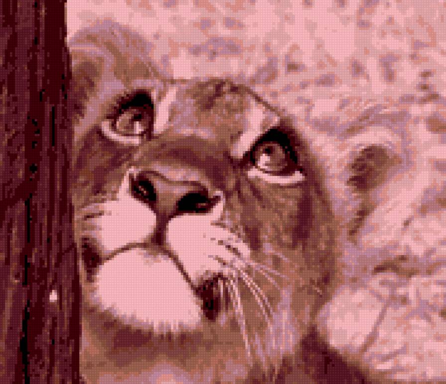львенок2 - животные, хищники - предпросмотр