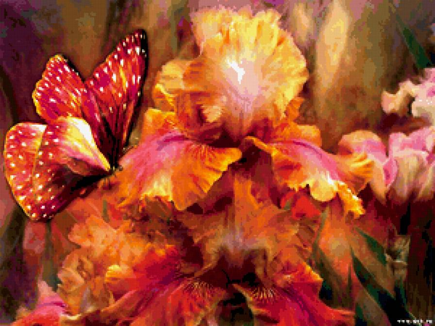 Ирис и бабочка - бабочка, цветы, ирис - предпросмотр