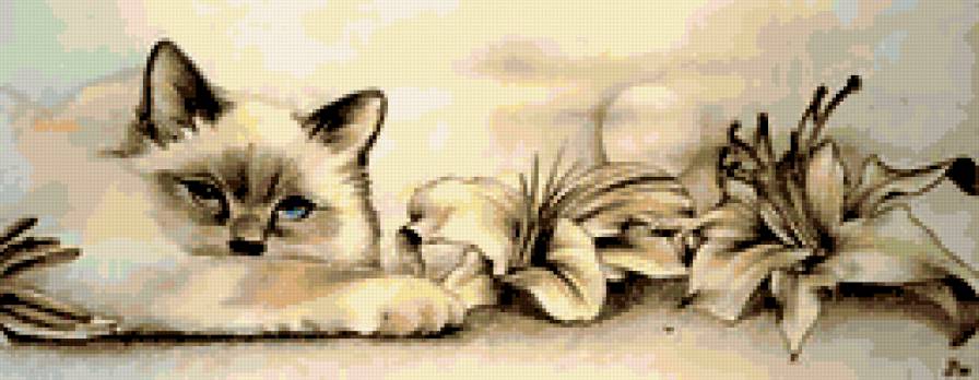 кот с лилиями - монахром, лилии, кот - предпросмотр