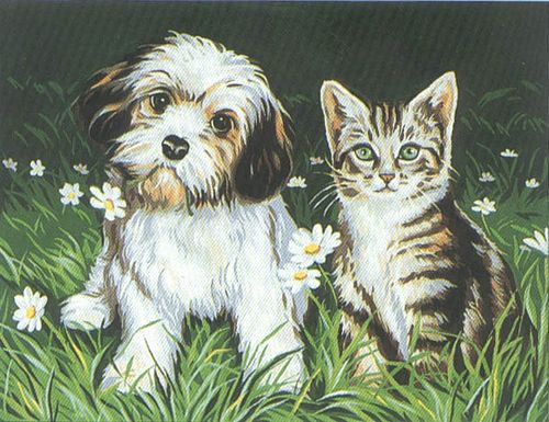 Малыши - котята, ромашки, кошка, собака, малыши, котенок, щенок, цветы - оригинал