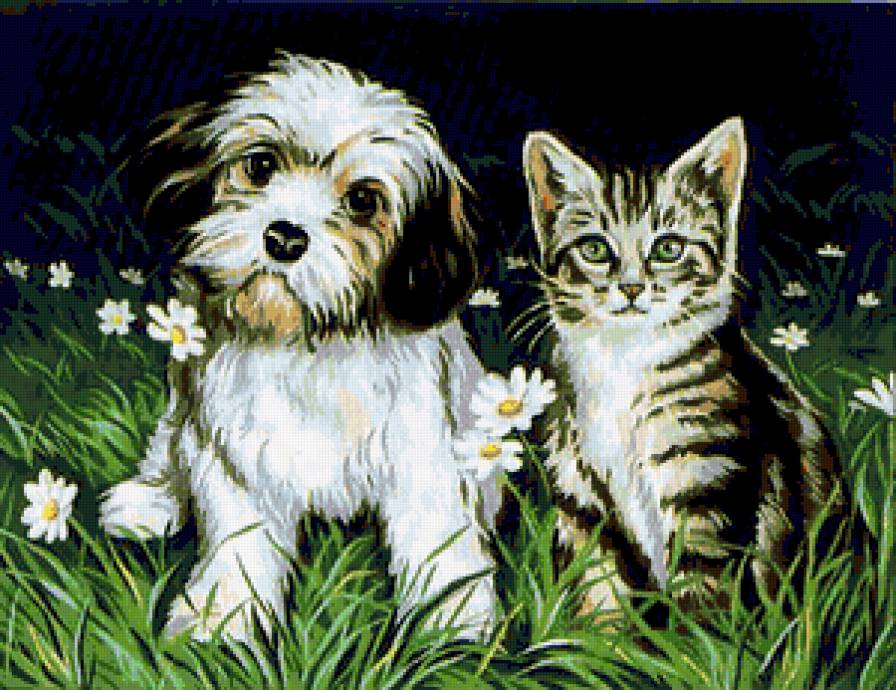 Малыши - кошка, собака, котенок, котята, малыши, цветы, ромашки, щенок - предпросмотр