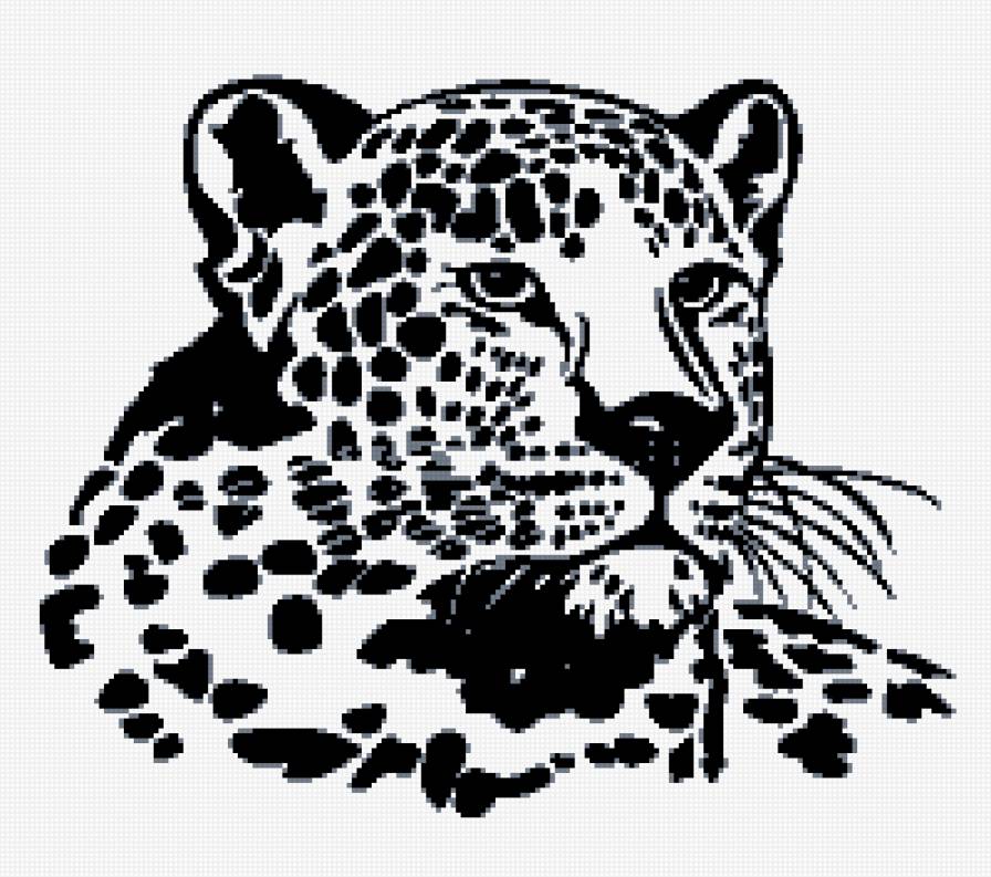 леопард - леопард, черно-белое - предпросмотр