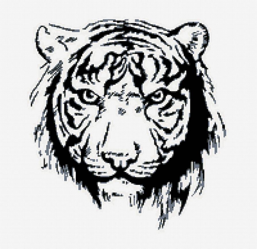 тигр - черно-белое, тигр - предпросмотр