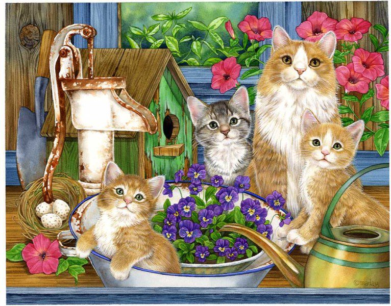 0135 - животные, картина, кошки, красота, природа, цветы, кошка, лето - оригинал