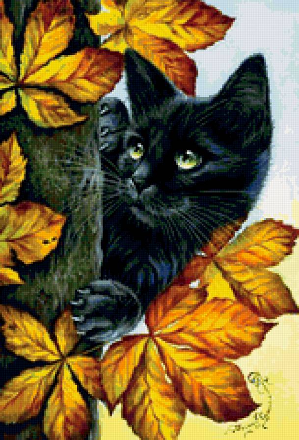 Осенний котенок - котенок кошка осень - предпросмотр