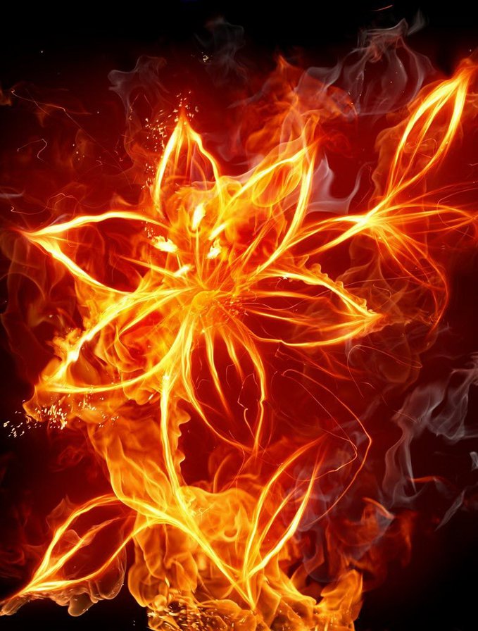 Огненный цветок - цветок, арт, огонь - оригинал