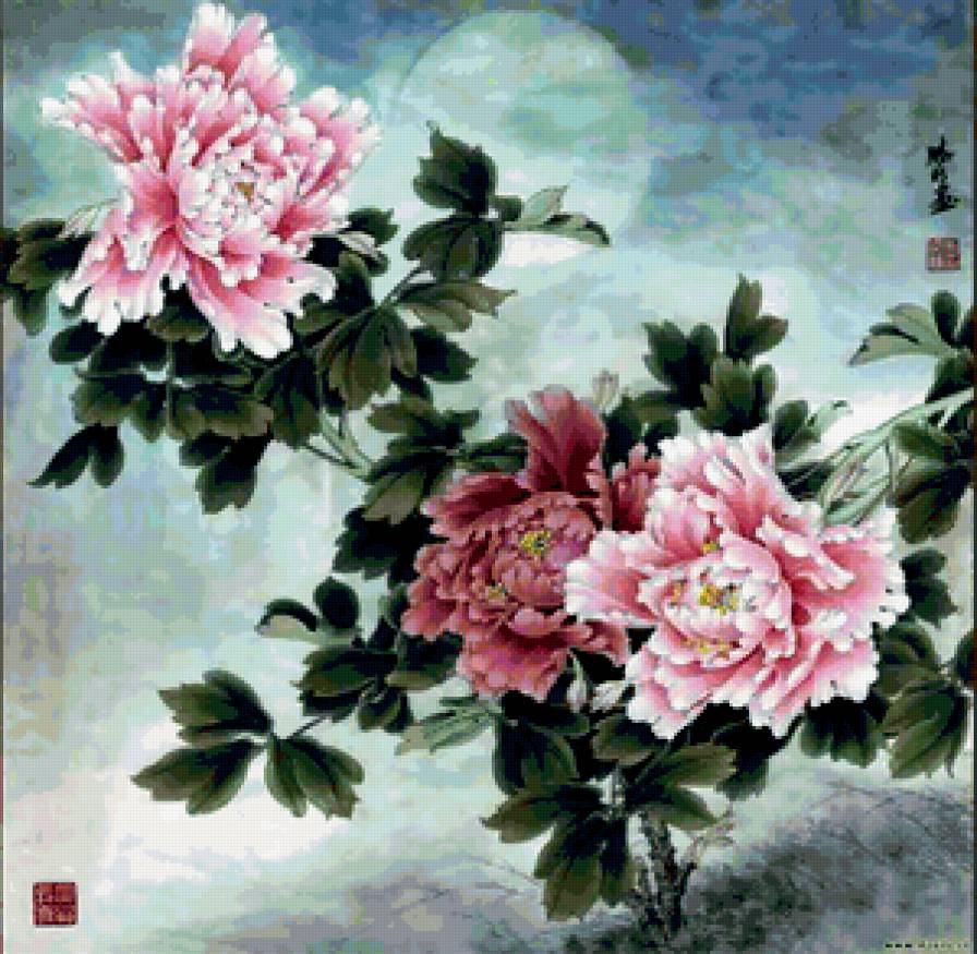 Розовый пион - восток, китай, цветы, пион - предпросмотр