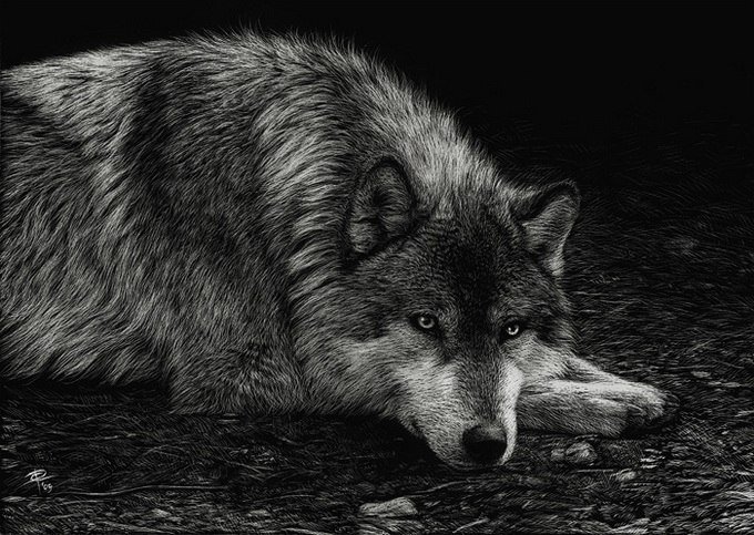 волк - волк - оригинал