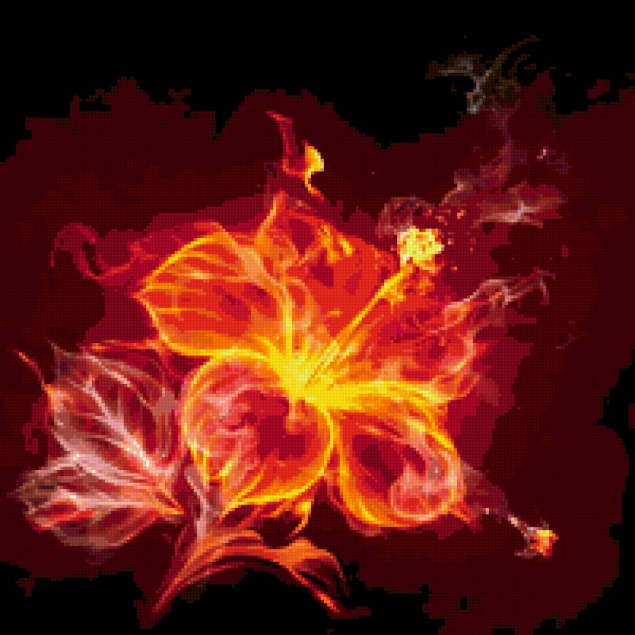 Цветок - огненный цветок - предпросмотр