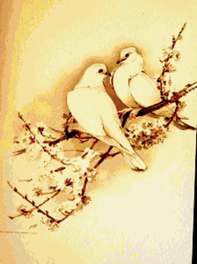 любовь и голуби - птицы - предпросмотр