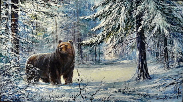медведь - животные, лес, снег, зима - оригинал