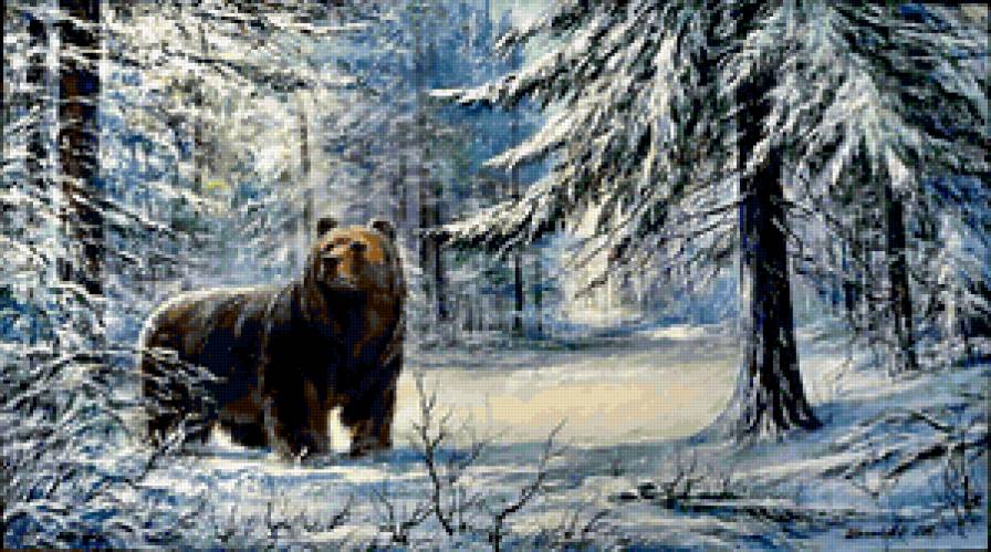 медведь - снег, зима, лес, животные - предпросмотр