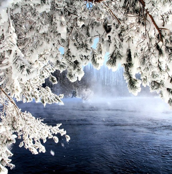Красивый зимний пейзаж - красота, зима, природа, пейзаж - оригинал