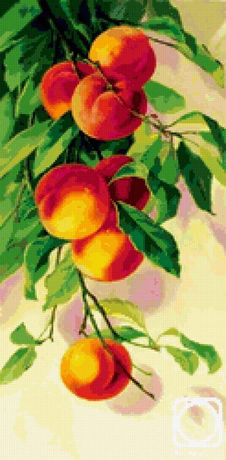 Ветка с персиками - персики - предпросмотр