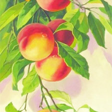 Оригинал схемы вышивки «Ветка с персиками» (№420023)