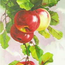 Оригинал схемы вышивки «Ветка с яблоками» (№420036)