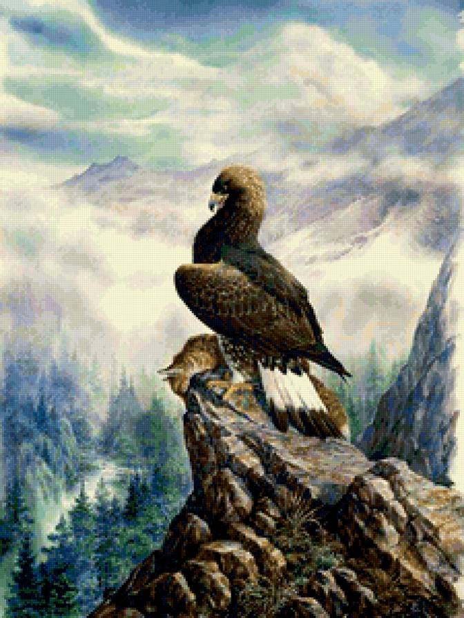 Горный орел - птица, природа, горы, орел, пейзаж - предпросмотр