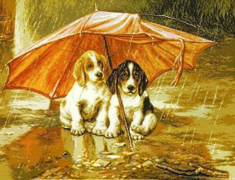 №420264 - зонт, дождь, животные - оригинал