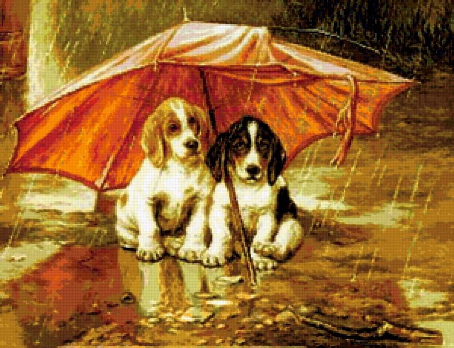 №420264 - зонт, животные, дождь - предпросмотр