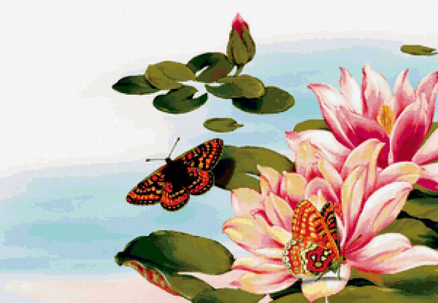 цветы - природа, ставок, бабочки, лотос, бабочка, цветок - предпросмотр