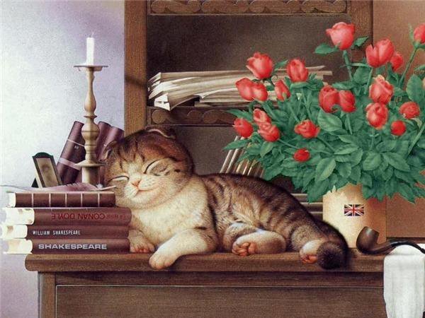 кот на столе - кот, роза, стол - оригинал