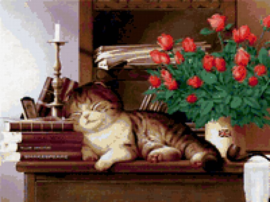 кот на столе - кот, роза, стол - предпросмотр