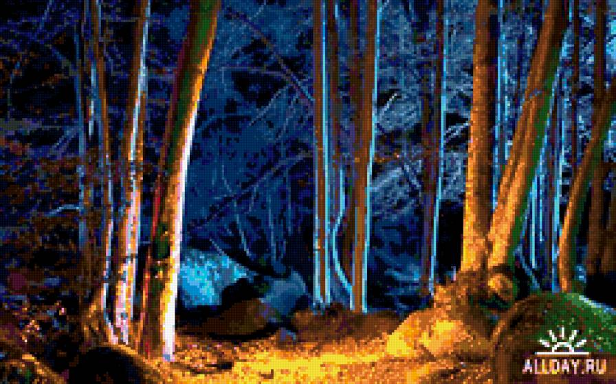 ночь в лесу - лес, ночь, природа, пейзаж - предпросмотр