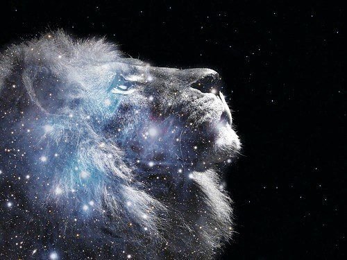 созвездие льва - космос, зодиак - оригинал