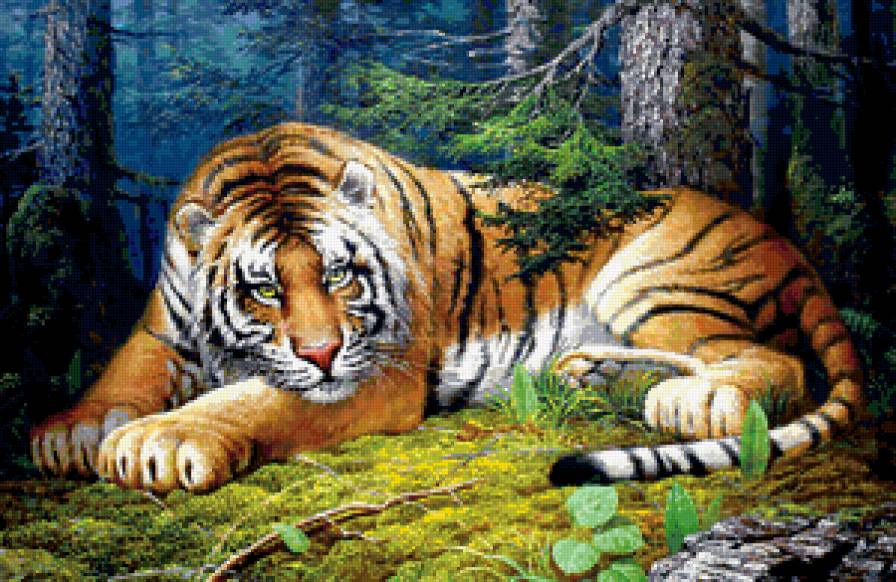 хозяин тайги - лес, тигры, хищник, тайга, сибирский тигр, тигр - предпросмотр