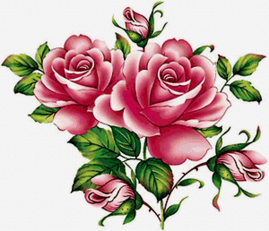 прекрасная роза - розовые цветы, розы, роза, красные цветы, букет - предпросмотр