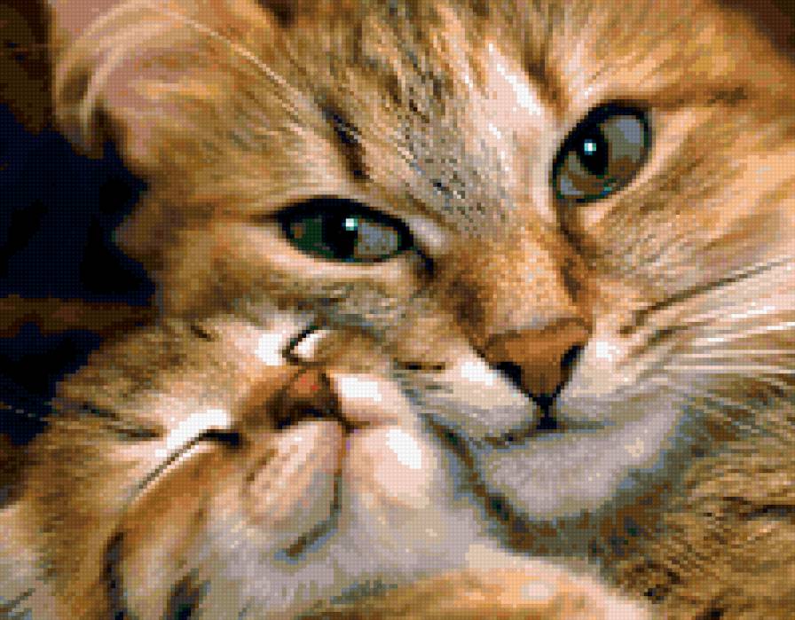 Кошка и котенок - животные - предпросмотр