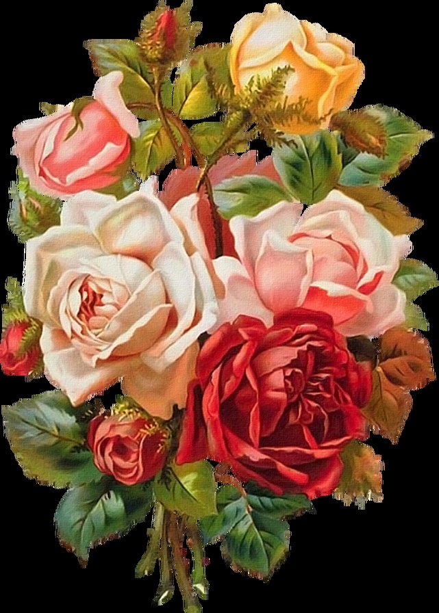 розы - букет, розы, роза, цветы - оригинал