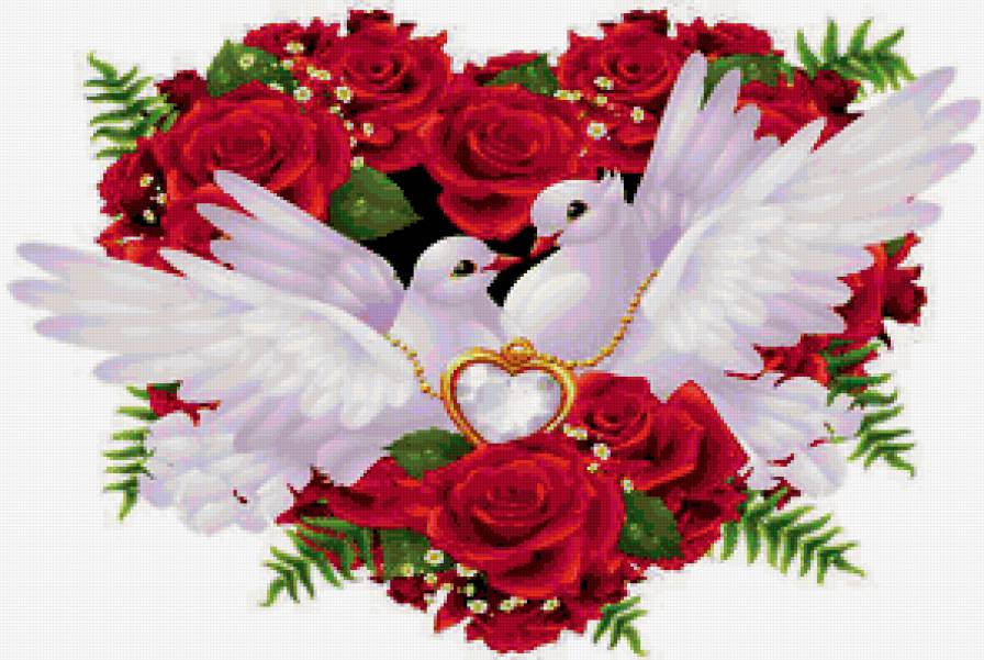 свадебные голуби - птицы, сердечко, кольцо, голуби - предпросмотр
