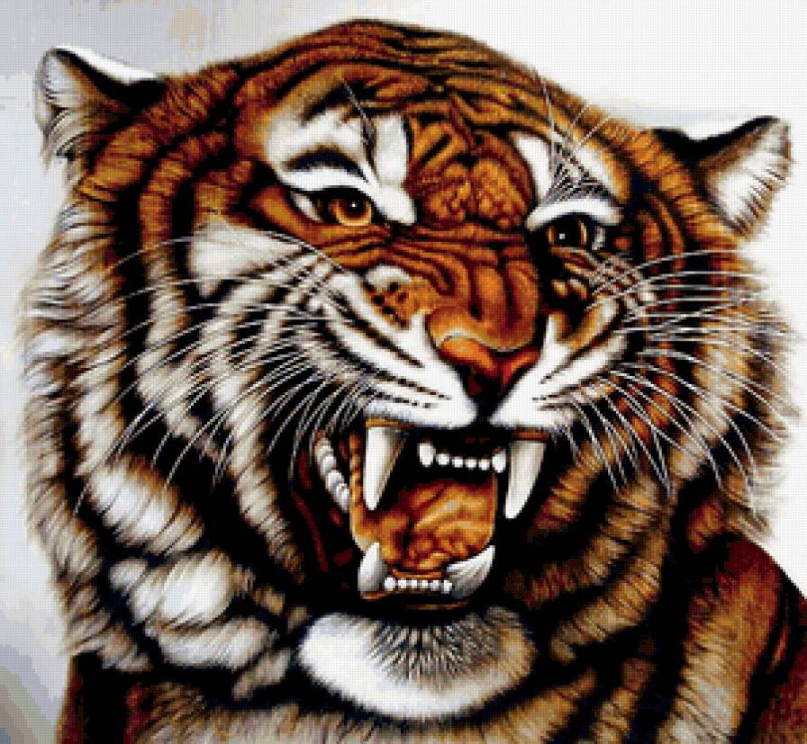 Хищный красавец - тигры, животные - предпросмотр