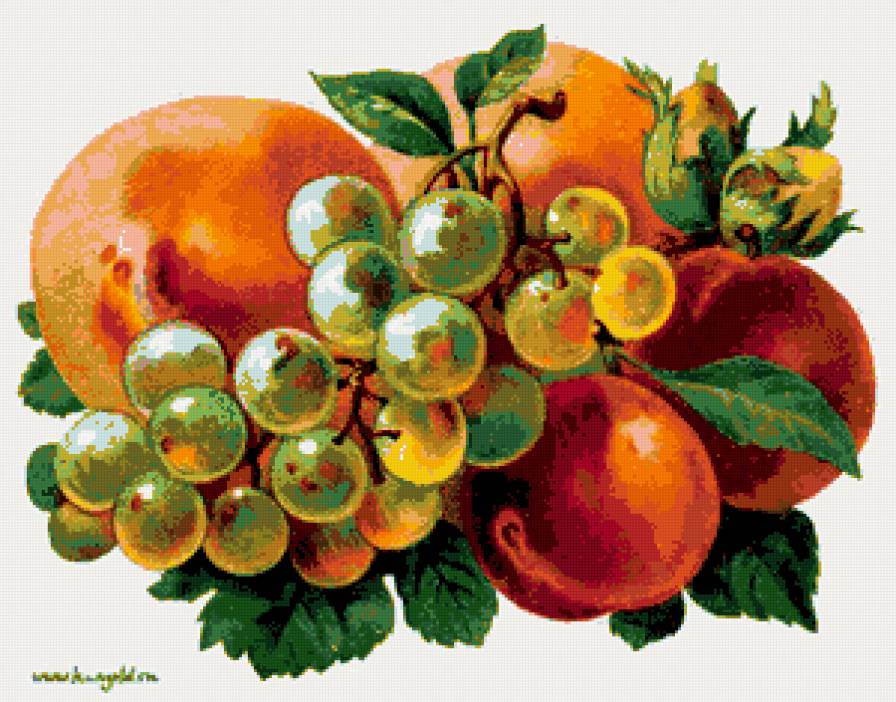 натюрморт - натюрморт, виноград, фрукты - предпросмотр