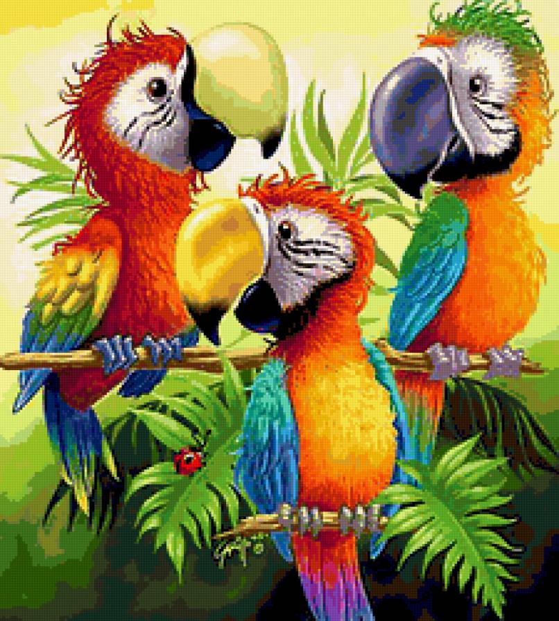 попугаи - предпросмотр