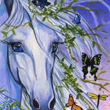 Лошадь и бабочки