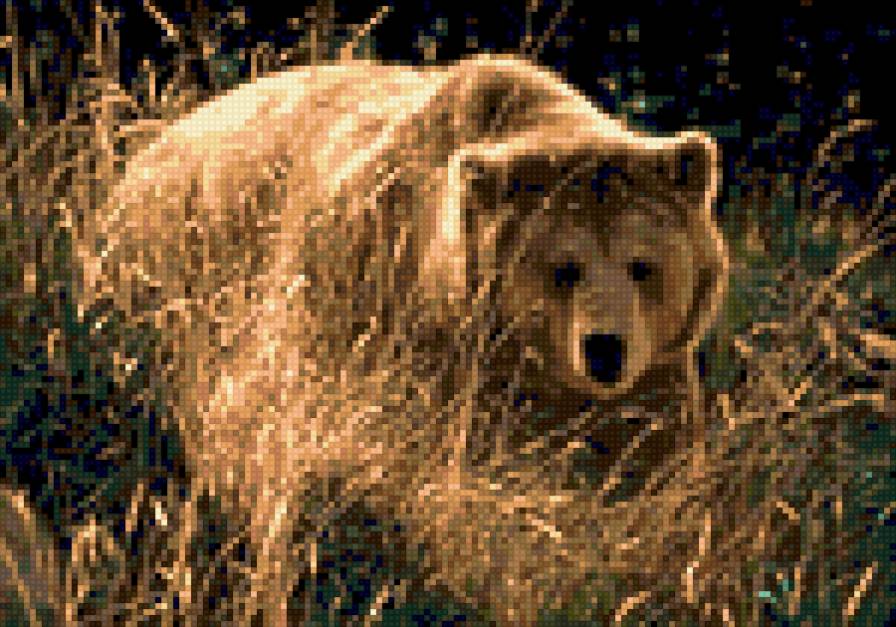 Медведь в травке - животные, медведь, пушистик - предпросмотр