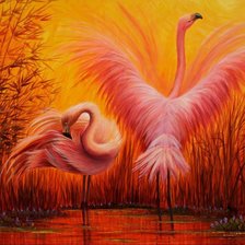 Фламинго на закате.