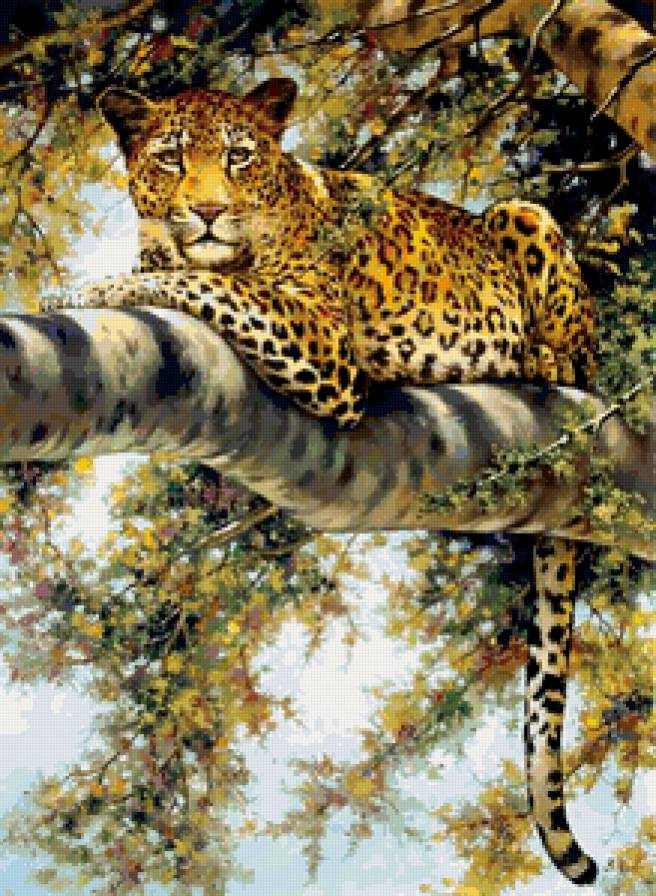 №423034 - большая кошка, леопард, дерево, природа, животные - предпросмотр