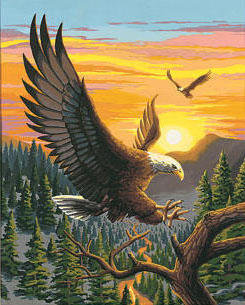 орел - птицы, природа, орел, закат - оригинал