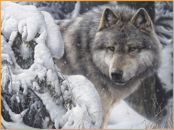 волк - лес, зима, волк, снег - оригинал
